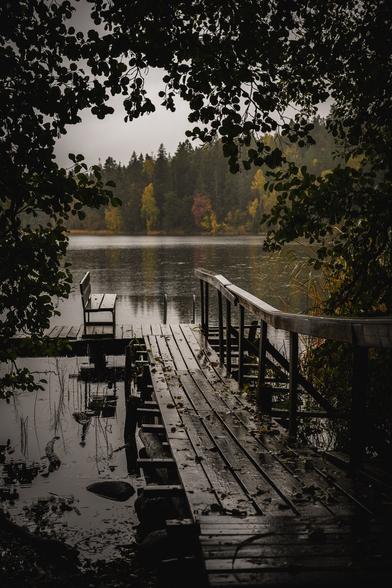 A vertical photograph of a small wooden jetty in a small forest lake. The jetty goes straight out from the beach a bit, with a handrail on the right, and ends with section perpendicular to the outgoing part. Just before the junction is a wooden bench on the left side of the jetty.

The view is framed by leafy branches along the side- and top edges, appearing almost in silhouette against the rain heavy, grey backdrop. The rain can be seen falling on the relatively calm surface of the lake.

On the other side of the lake is a hilly mixed forest, with the deciduous trees in full autumn colours among the green pines and spruces.
