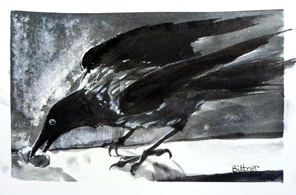 An ink drawing in which a crow eats a peanut.