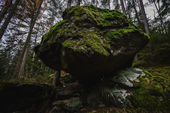 A photograph from slightly below of a large boulder, a couple of meters across and covered in green moss. The boulder is irregular in shape, tapering off towards the bottom and sitting on a rocky outcrop, making it look like it could tip over.

The boulder is surrounded by rock, moss and grass and in the background are spruce and pine trees and a grey sky.